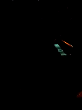 Gigolo31per31 online show from October 18, 2025, 2:25 am