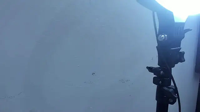 Snapshot of Kevinfox23cms chatting on November 11, 2025, 6:46 am Kevinfox23cms online show from November 11, 2025, 6:46 am