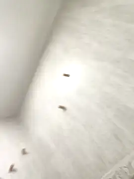 sebas sexo goloso online show from November 13, 2025, 6:45 am