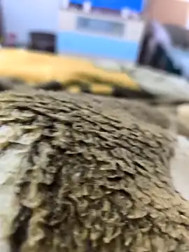 sebas sexo goloso online show from November 14, 2025, 8:13 am