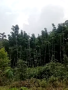 Khanhu xx online show from March 24, 2026, 1:32 am