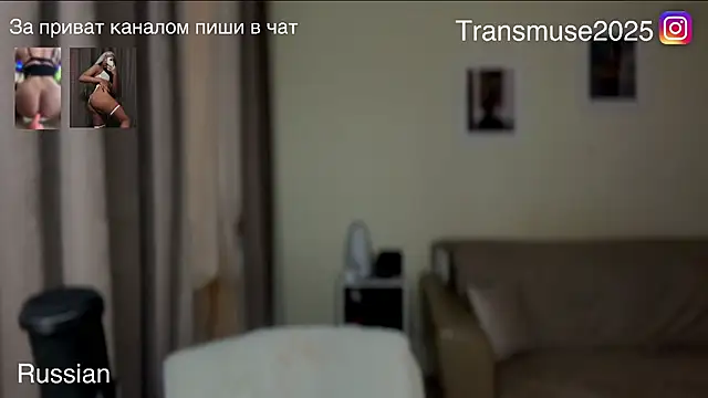 NikandJane online show from November 27, 2025, 4:31 pm