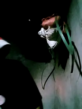 Snapshot of bae-bae chatting on November 6, 2025, 11:22 am bae-bae online show from November 6, 2025, 11:22 am