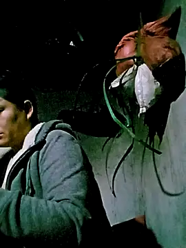 Snapshot of bae-bae chatting on November 11, 2025, 11:16 pm bae-bae online show from November 11, 2025, 11:16 pm