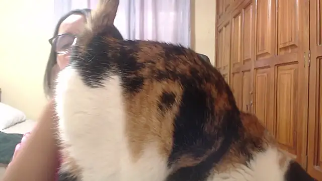 Venus cat  online show from February 8, 2026, 9:18 pm