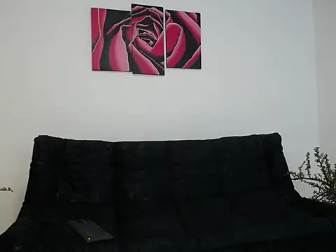 SteveDickson  online show from November 18, 2025, 6:56 pm