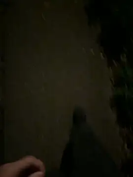 ncjuice  online show from October 31, 2025, 10:00 pm