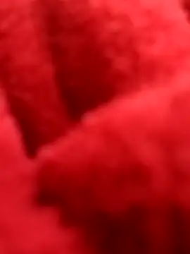 ProXydelhi online show from February 7, 2026, 11:19 pm