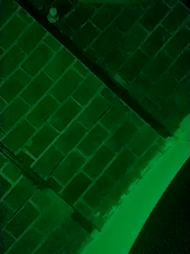 Snapshot of Buddha289 chatting on March 9, 2026, 7:34 am Buddha289 online show from March 9, 2026, 7:34 am