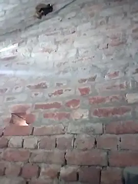 Rani 089 online show from October 6, 2025, 1:58 am