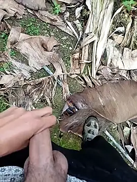 Snapshot of Sikici0734 chatting on November 13, 2025, 9:19 am Sikici0734 online show from November 13, 2025, 9:19 am