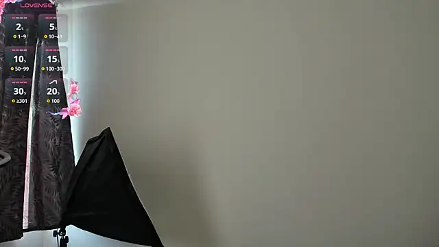 Snapshot of ValeStone chatting on October 30, 2025, 9:04 pm ValeStone online show from October 30, 2025, 9:04 pm