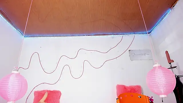 shannon kinne  online show from November 12, 2025, 12:49 pm