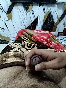 Nisha sonu couple online show from November 17, 2025, 4:29 am