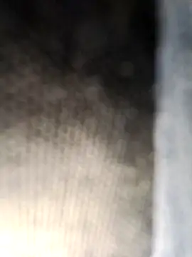 Neilhot98 online show from March 8, 2026, 2:43 pm