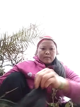 sumaybae online show from December 14, 2025, 9:47 am