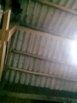 Ducky27021991 online show from October 18, 2025, 12:17 pm