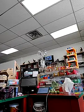 Cassaroll333 online show from November 30, 2025, 5:28 pm