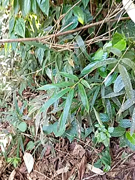 jerry-xx online show from October 29, 2025, 12:57 am