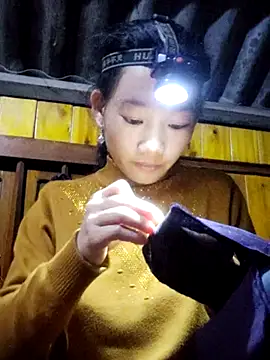 gio-thu online show from November 8, 2025, 4:29 pm