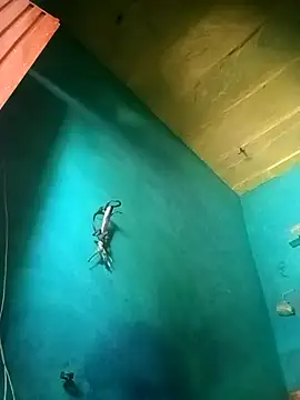 Rt shreya online show from November 21, 2025, 6:45 am