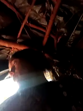 Cutsedi3 online show from October 29, 2025, 10:17 am