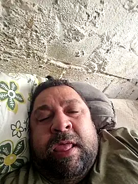 wallcava online show from November 15, 2025, 2:24 pm