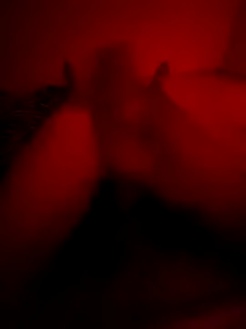 Snapshot of Ktkotabob chatting on October 21, 2025, 10:21 pm Ktkotabob online show from October 21, 2025, 10:21 pm