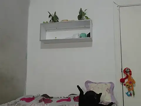 Renata Rivas online show from February 25, 2026, 3:49 am