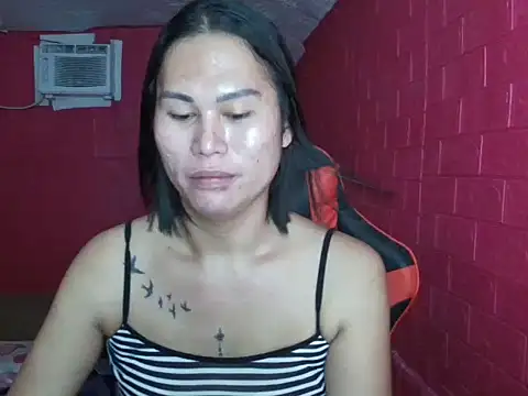 sexychekaiixxx online show from June 6, 2026, 1:16 pm