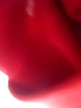 nalgastalla60 online show from February 6, 2026, 3:55 am