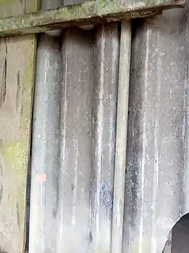 siusiu-00 online show from February 25, 2026, 10:14 am