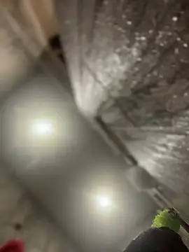 queenkelly1234 online show from February 16, 2026, 12:56 pm