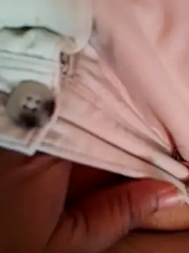 svk 05 online show from December 18, 2025, 9:26 am