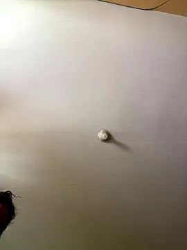 Techi0525 online show from December 16, 2025, 5:18 pm