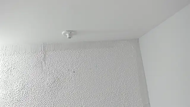 AnnieAndLeandro online show from January 6, 2026, 8:12 pm