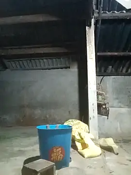 Myzak- online show from November 22, 2025, 11:09 am