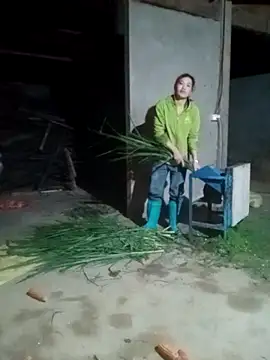 Myzak- online show from November 24, 2025, 10:59 am