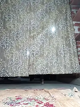 Rajni chauhan online show from December 20, 2025, 4:14 pm