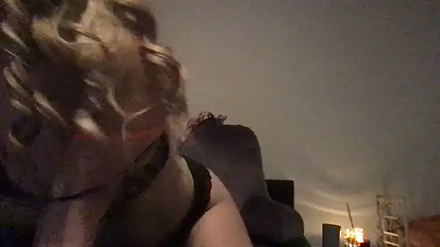 wet alleycat online show from May 15, 2026, 6:42 am
