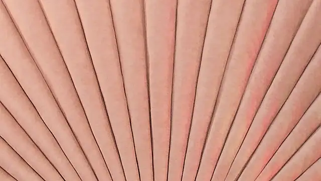 Emma duff online show from October 24, 2025, 12:01 pm