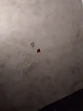 Orlao25cm online show from March 12, 2026, 8:37 pm