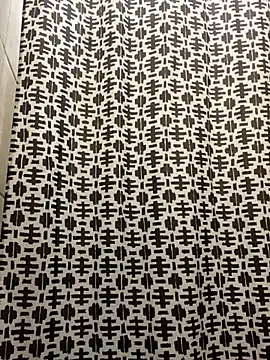 Snapshot of solodrive chatting on November 14, 2025, 11:31 am solodrive online show from November 14, 2025, 11:31 am