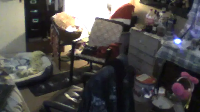 Snapshot of bigdaddyrooster chatting on December 19, 2025, 7:37 am bigdaddyrooster online show from December 19, 2025, 7:37 am