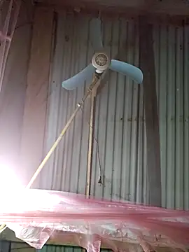 Squirrel-Pear online show from December 4, 2025, 12:25 pm