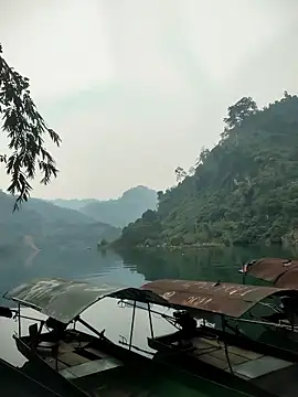 Squirrel-Pear online show from January 14, 2026, 2:50 am