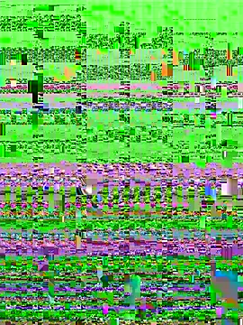 aaaaawhate online show from March 9, 2026, 11:36 am