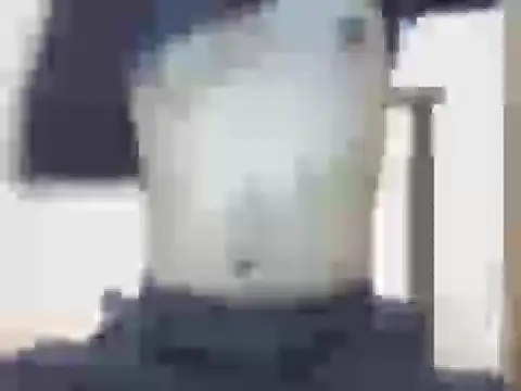 nick2445 online show from March 22, 2026, 9:29 pm