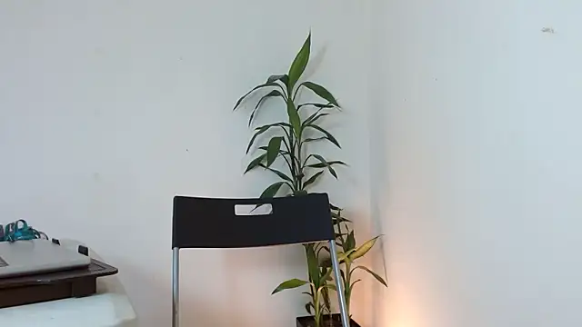 Dulce765b online show from March 21, 2026, 1:37 pm