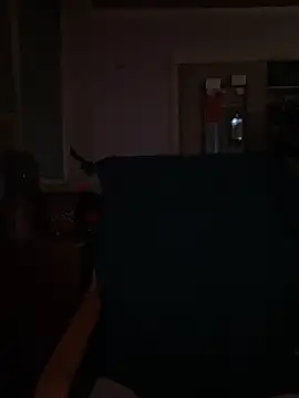 Macduckd online show from February 13, 2026, 6:53 am